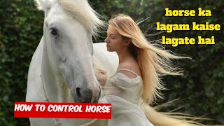 Horse का लगाम कैसे लगाएं | घोड़े को काबू में कैसे करते हैं | how to control horse