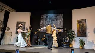 Flamenco Lovers show Cordoba Spain 2025 03 28