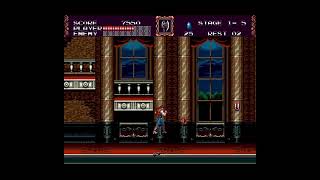 David Vaughn live stream