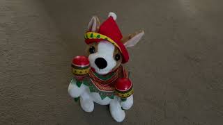 Toy Chihuahua Dog Singing Macarena and Shaking Maracas