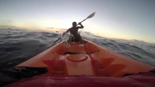 Malibu Two surfing