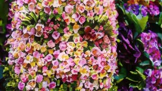 Every laundromat has this pic.  AI flowers. Sa highway. My guitar softly cries