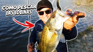 How to Catch Bass | Bass Fishing Guide