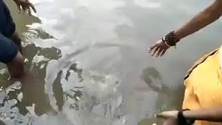 पानी में तैरने वाला पत्थर ( जै श्री राम ) । क्या science के पास है कोई जवाब ?