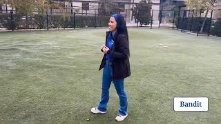 Adoption Live 2/6/2026