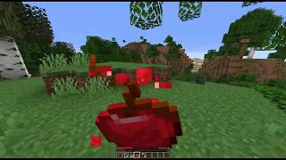 Random Minecraft Survival Video