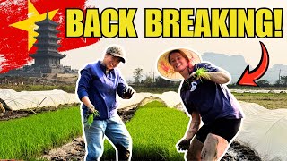 Back-Breaking Work in Vietnam 🇻🇳 | Did We Survive Rice Farming With Locals?