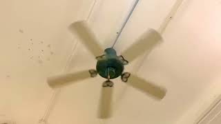 Hampton Bay “Gazebo” Ceiling Fan