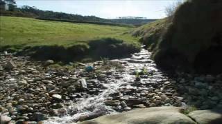 Luar Na Lubre: O Son Do Ar