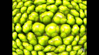 Rainbow Gumballs Effect 