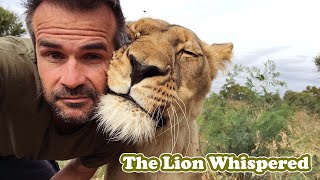 The Lion man who live & cuddling Lions | The Lion Whispered Kevin Richardson