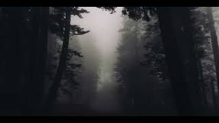 Dawn of dreams - Twilight Resonance