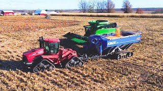 Harvesting this CORN is WILD!