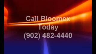 Halifax Flower Shop Call 902 482 4440-Bloomex Flowers