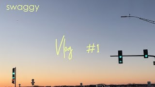 The Most Random Vlog...