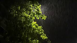 Deep Sleep Rain Sounds 🌧️ Night Rain on Green Leaves Under Streetlight