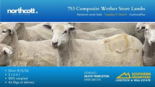 Northcott - 753 Composite Wether Store Lambs - AuctionsPlus - Tue 17 March 2026 - National Lamb Sale