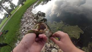 Fishing @ Oakwood