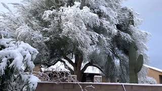 Winter Wonderland in Tucson 3/3/23