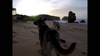 Sao Rafael beach (Algarve)7.30 am walking the dogs