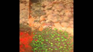 Arton Art Gallery Artists Wales Display 2