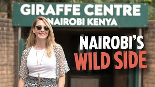 Feeding Giraffes at Nairobi Giraffe Centre | Fun Day with Rothschild Giraffes in Kenya. 