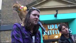 James and his strays perform Polly