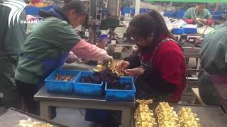 DANAU axial pump assembling