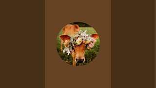 Steinmetz Family Farm is live!