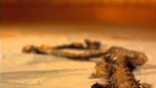 Nine Inch Nails - The Day The World Went Away