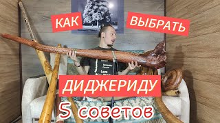 Как выбрать диджериду? 5 советов