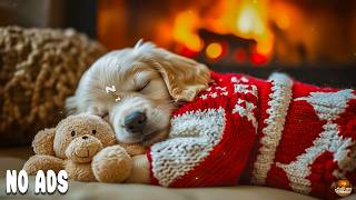 12 HOURS Dog Music 🐶 Gentle Music for Dogs💖Anti-Separation Anxiety Relief Music 🎵 Deep Sleep Music