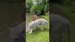 Best Funny Animal Videos of the year 2021, funniest animals ever  relax with cute animals AWW anim