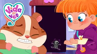 Popcorn Breaks The X-Ray Machine + More | Vida The Vet | Animal Cartoons for Kids