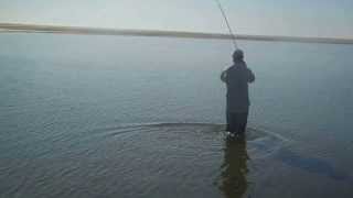 Cape Lookout Shoals Red Drum 2010