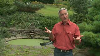 Growing a Greener World Episode 512 - Backyard Birds