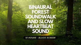 SOOTHING BINAURAL FOREST SOUNDWALK AND SLOW HEARTBEAT SOUND