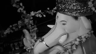 Ganesh visarjan(7)