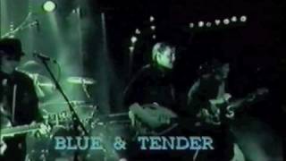 The Intellectuals - Blue & Tender (1987)