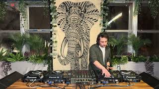 Elephant session # 117  TERRN