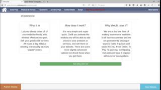 Starter Website Overview