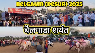 बेळगाव भव्य बैलगाडा शर्यत 2025 | Shri Ram Sena Hindustan Bailgada Sharyat Desur