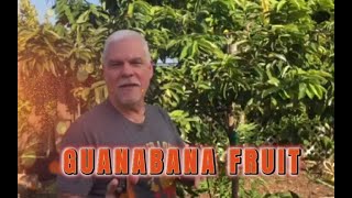 Pepe's Fruit Trees soursop guanabana introduction #Soursop #Guanabana #Pepesplants #Fruit #Trees