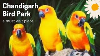 Bird park in Chandigarh | Sector: 1 | Sightseeing places in Chandigarh