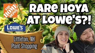 RARE HOYA AT LOWE'S!! 😲 Plant Shopping in Littleton, NH 🌿 Home Depot & Lowe's