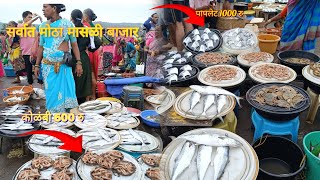 कोकणातील प्रसिद्ध फिश मार्केट हर्णे🐟Biggest Fish Market Harnai | Dapoli 