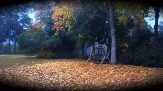 Day After Never - This Time