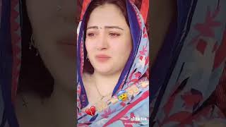 Neelam Gul Dolphin Ayan