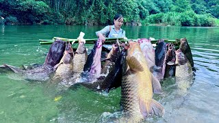 Traditional Fishing Skills - Single Mother Catches Giant Fish with Bamboo