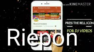 Riepon Manual R+a 2018 dj